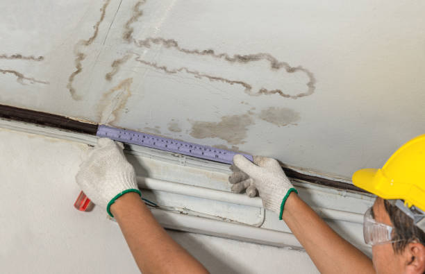 Reliable Sewage Cleanup contractor in Saint Clair, MI by Water Damage Irwin